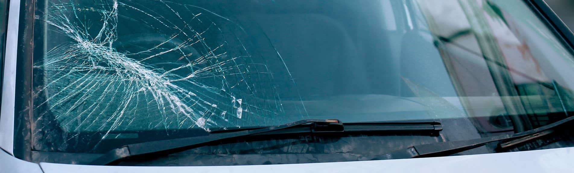 Windshield Replacement Services in Florida